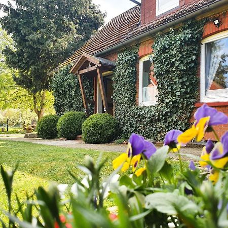 Ferienwohnung Am Alten Haus Altenmedingen Exterior foto