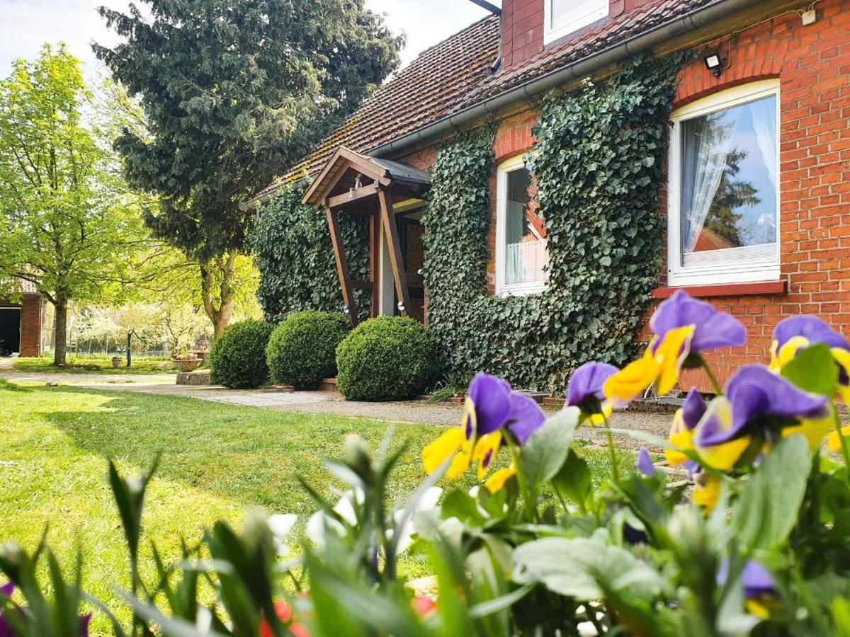 Ferienwohnung Am Alten Haus Altenmedingen Exterior foto