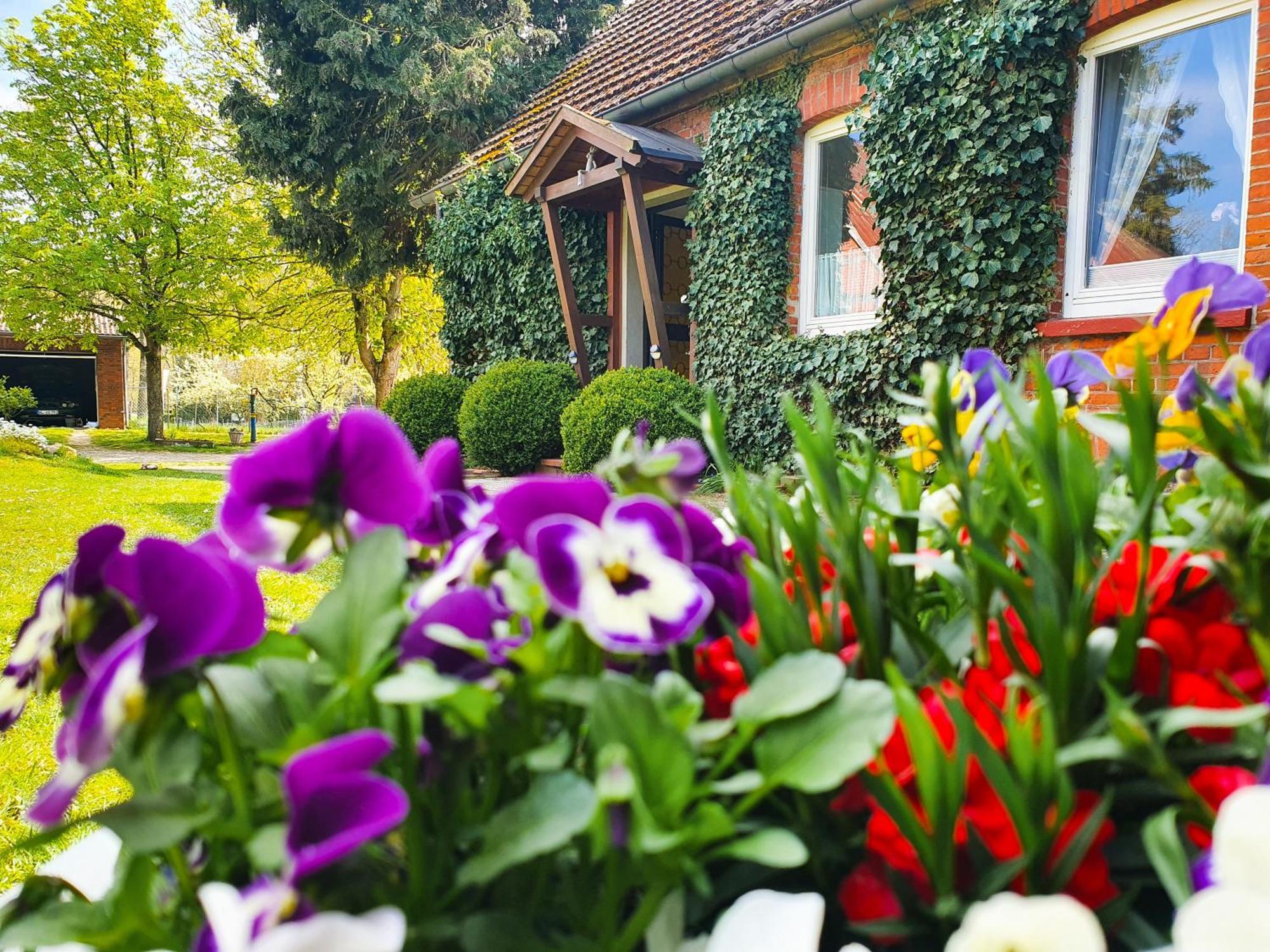 Ferienwohnung Am Alten Haus Altenmedingen Exterior foto